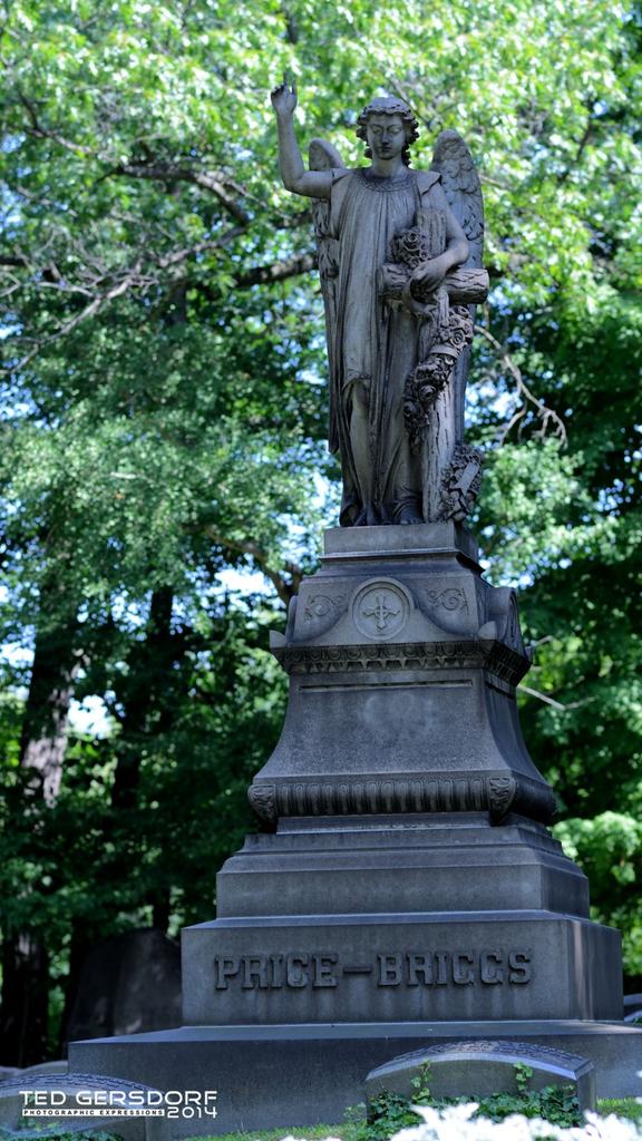 DSC_5106_00106_2169.jpg
