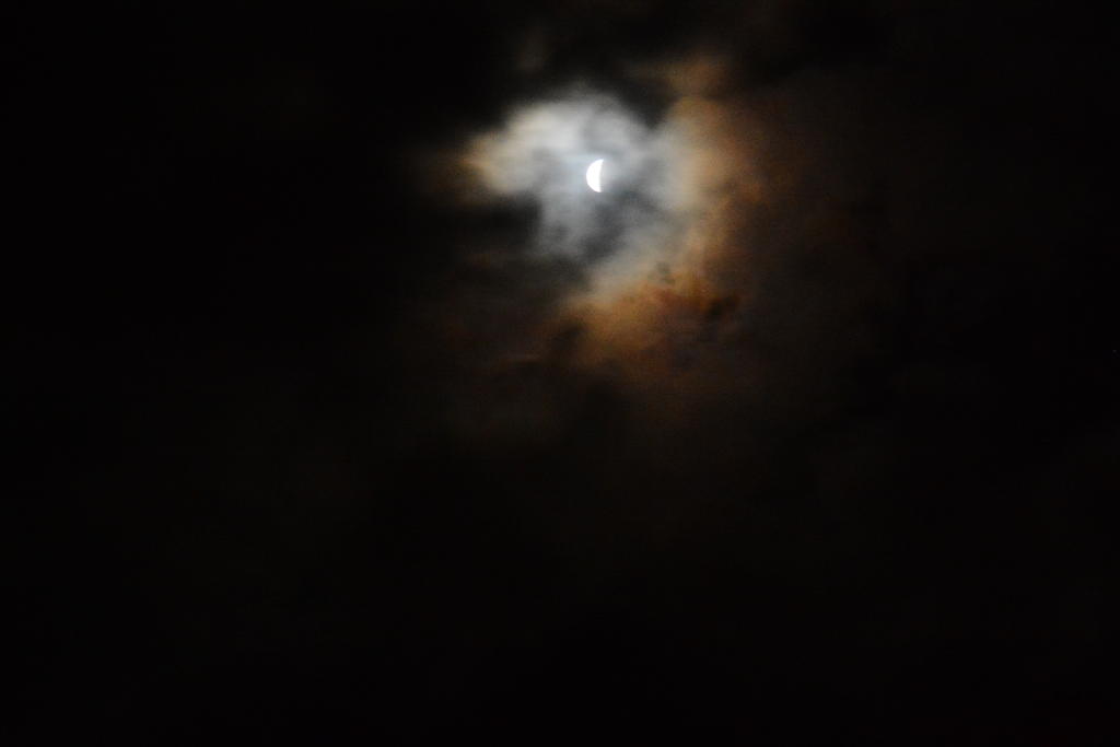 DSC_5108.jpg