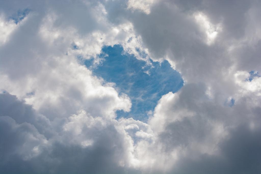 DSC_5110.jpg