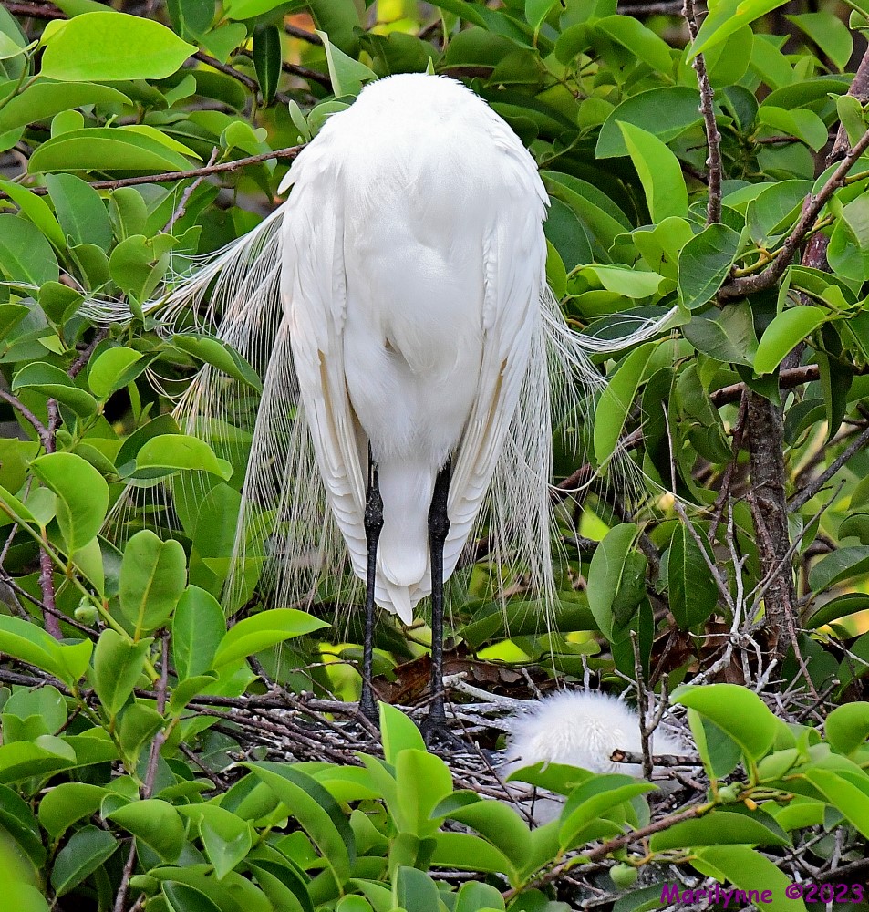 DSC_5113_001.JPG