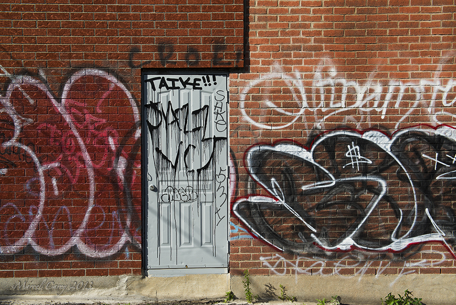 DSC_5116.jpg