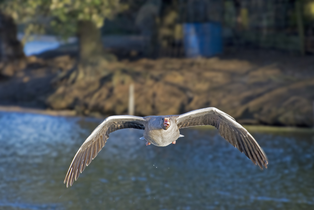 DSC_5121.jpg