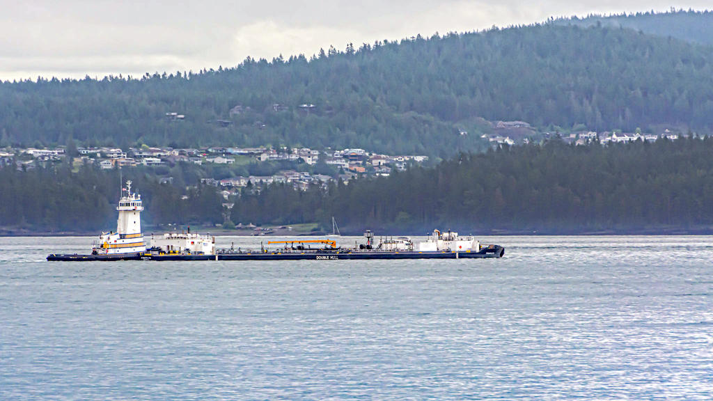 DSC_5123-Edit.jpg