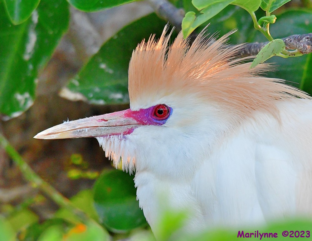 DSC_5124_001.JPG