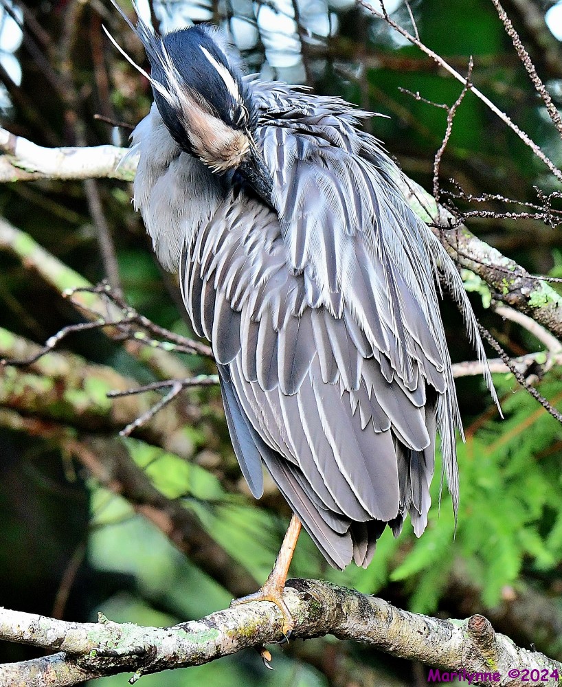 DSC_5127_001.JPG
