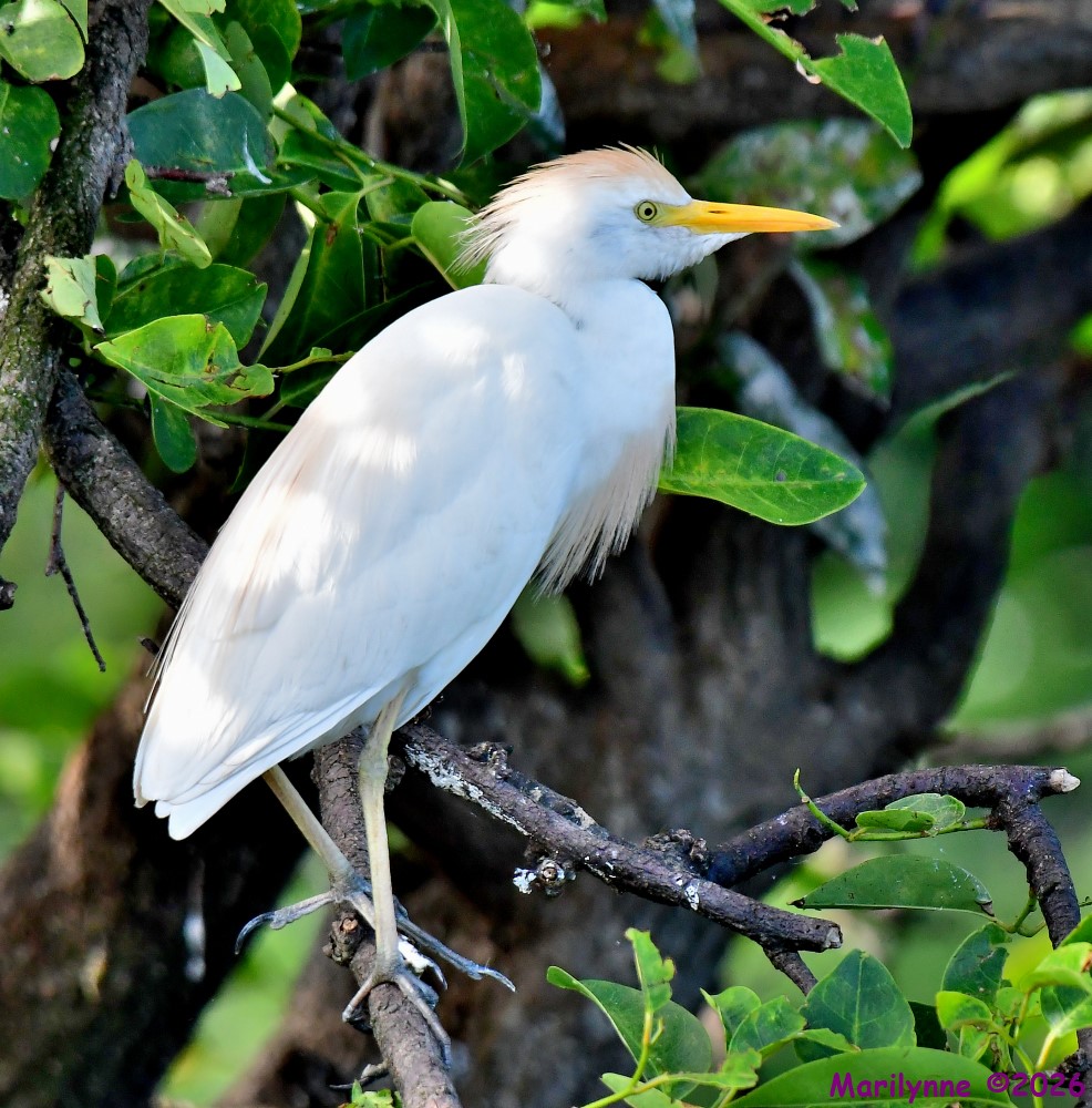 DSC_5127_001.JPG