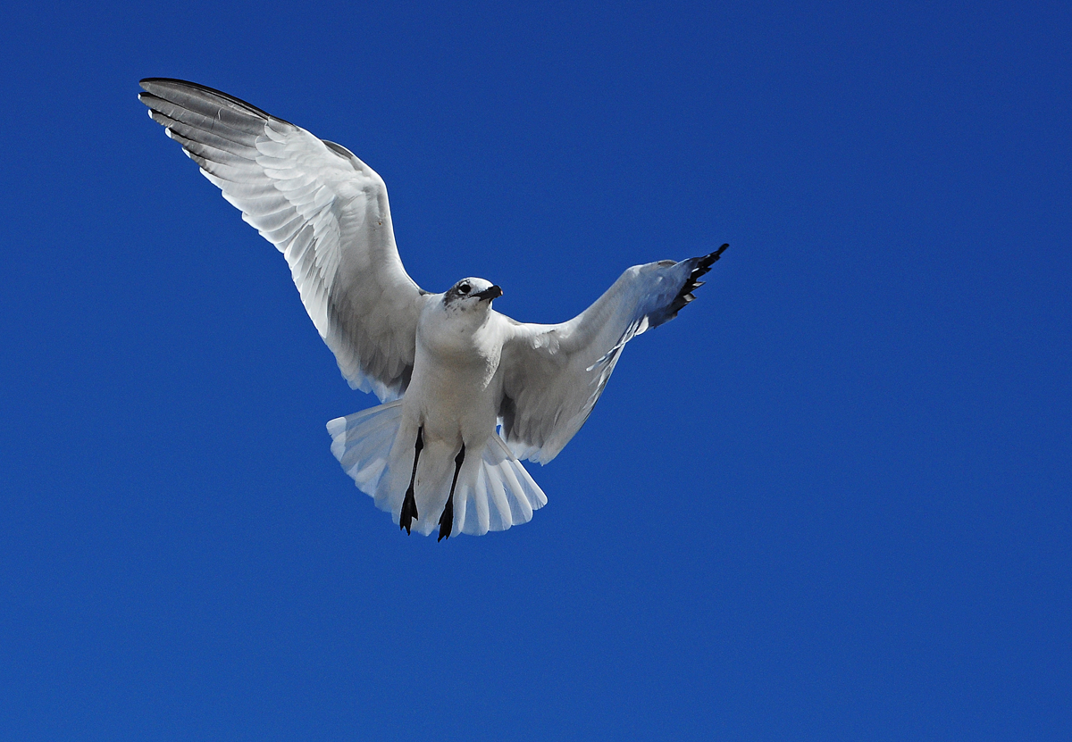 DSC_5129-832630617-O.jpg
