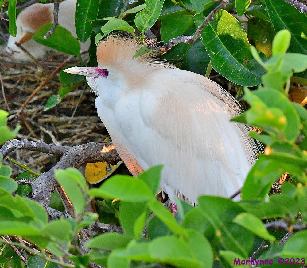 DSC_5129_001.JPG