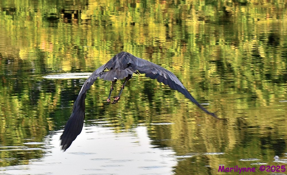 DSC_5129_001.JPG