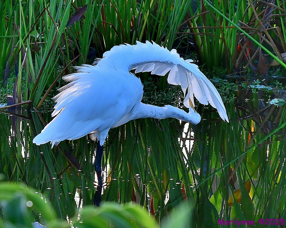 DSC_5133_001.JPG