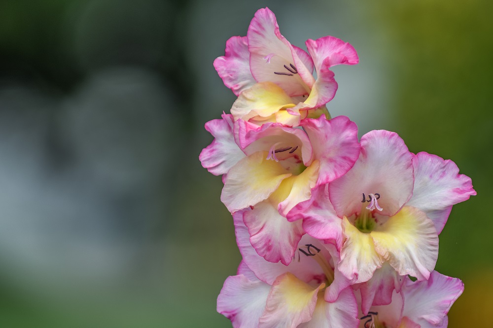 DSC_5138-Edit.jpg
