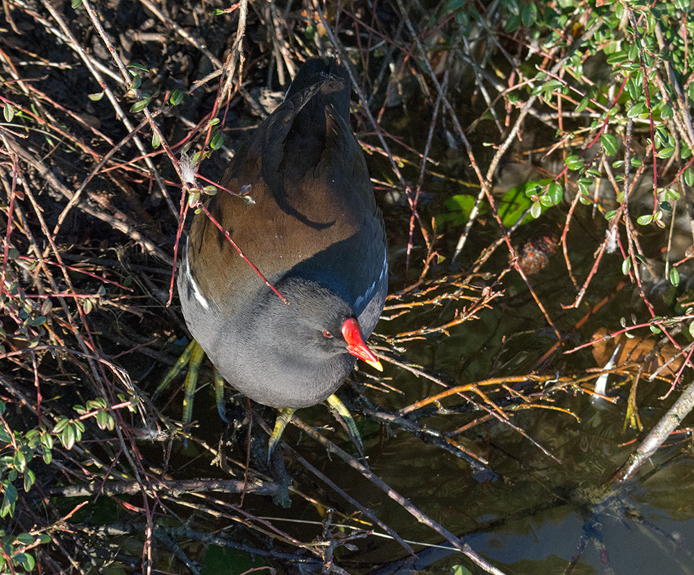 DSC_5139.jpg