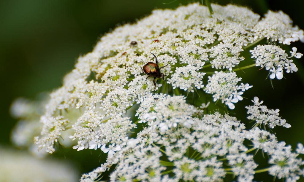 DSC_5139.jpg