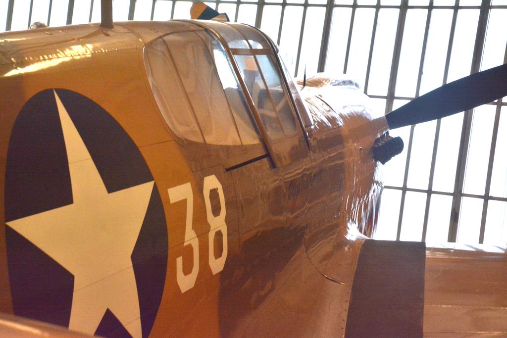 DSC_5140.jpg