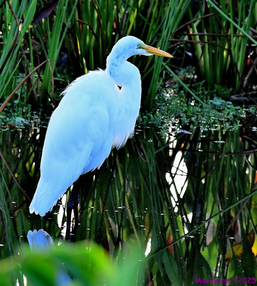 DSC_5140_001.JPG