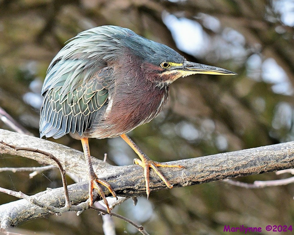 DSC_5141_001.JPG