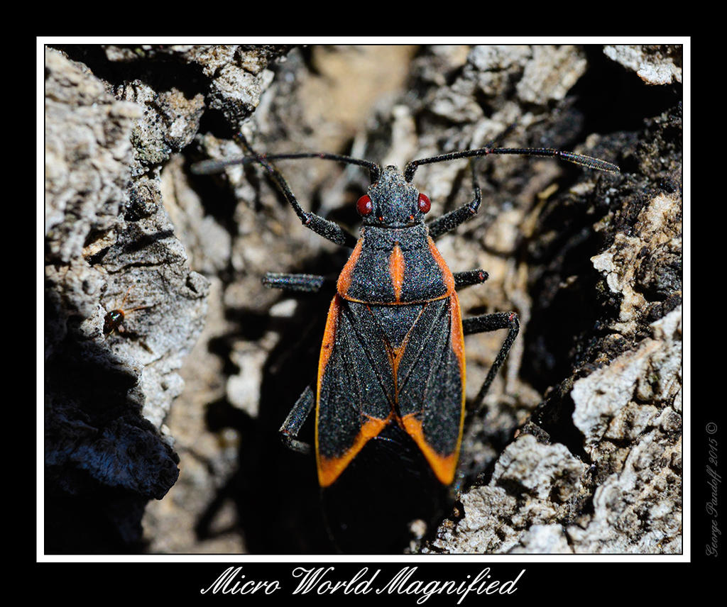 DSC_5141_Web.jpg