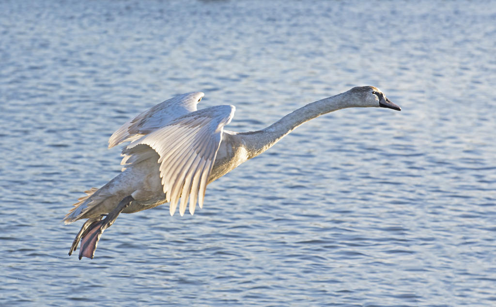DSC_5142.jpg