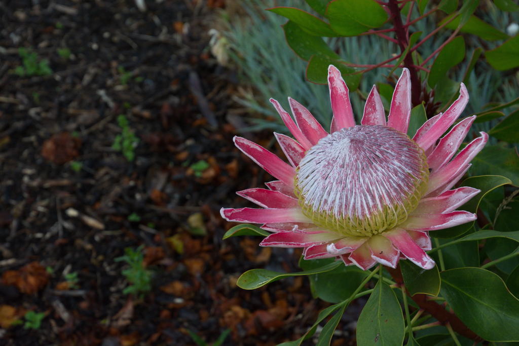 DSC_5143.jpg