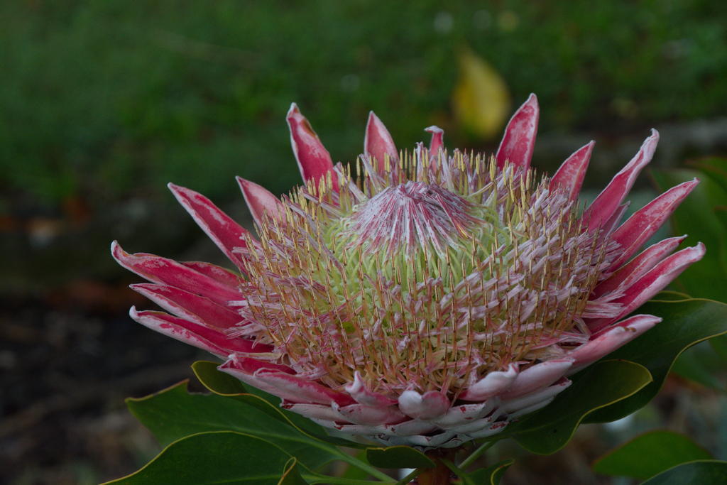 DSC_5144.jpg