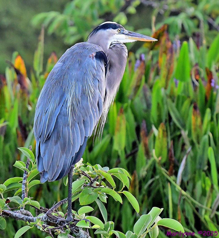 DSC_5144_001.JPG