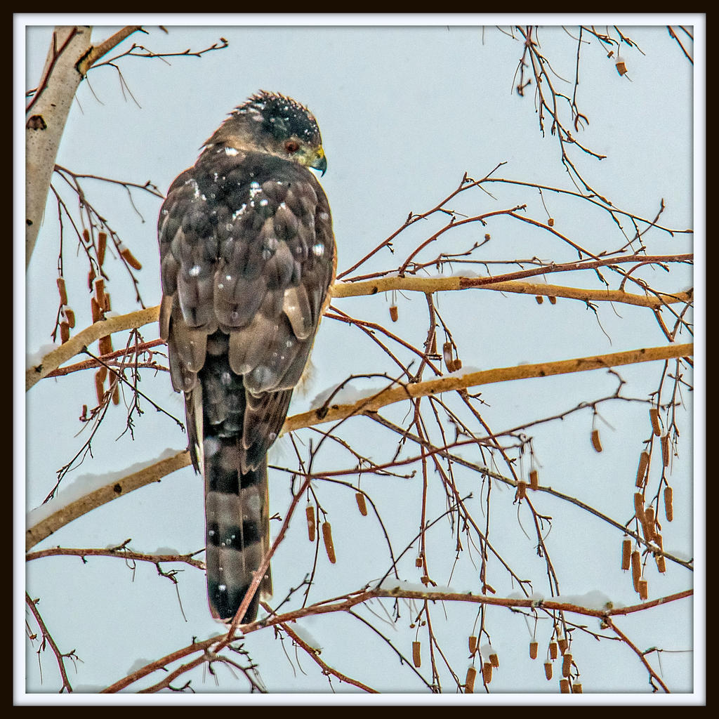 DSC_5151-Enhanced-Edit.jpg