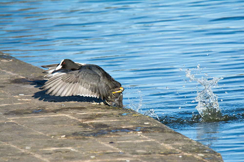 DSC_5152.jpg