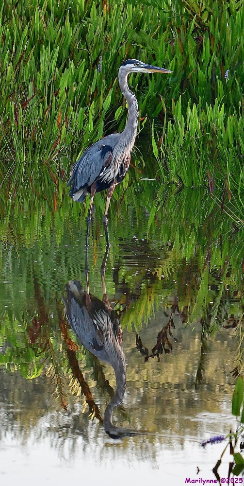 DSC_5157_001.JPG