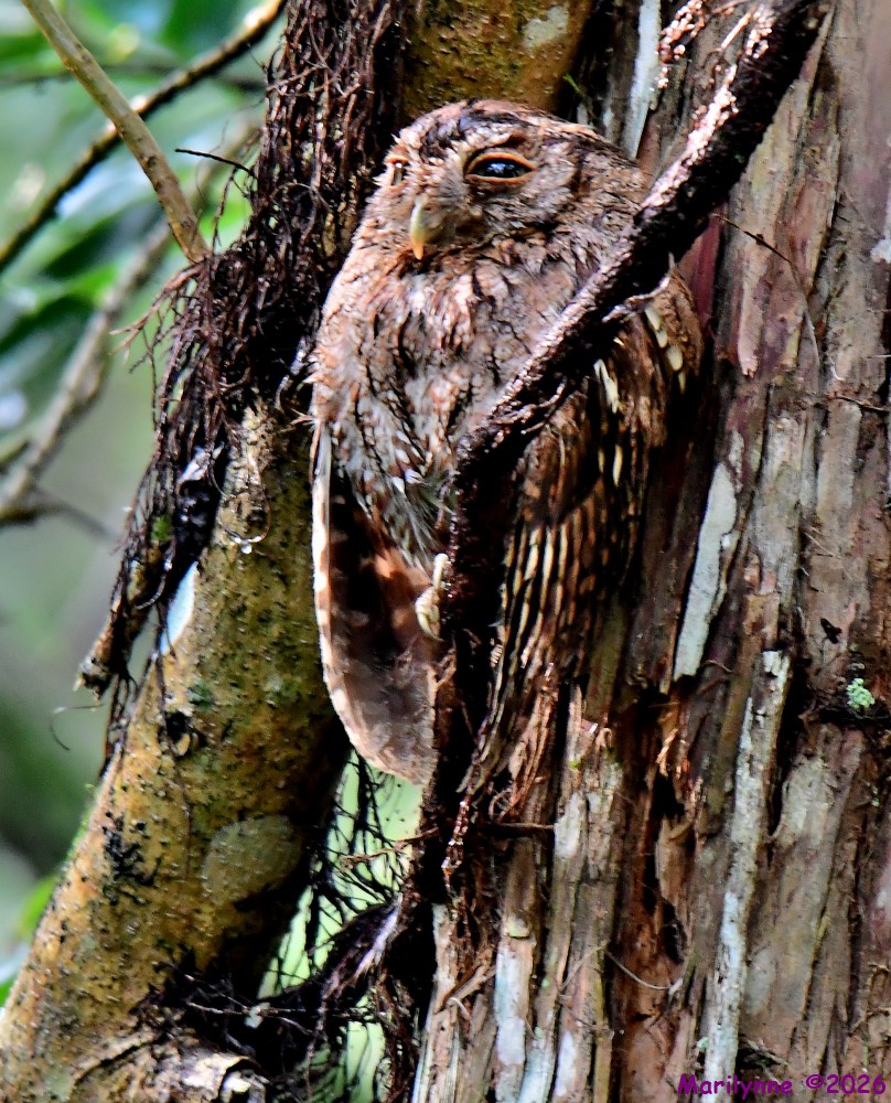 DSC_5159_001.JPG