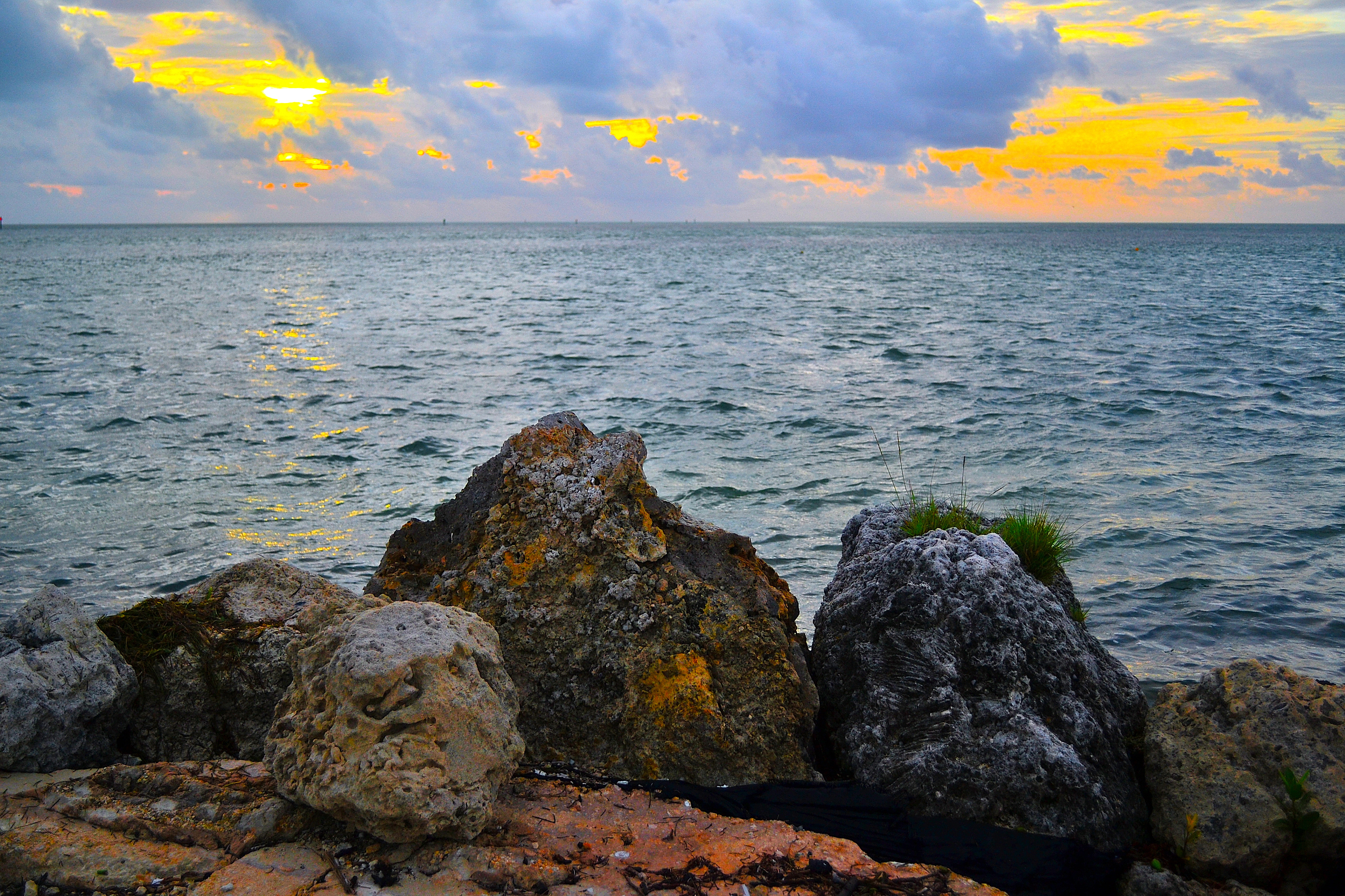 DSC_5161.JPG