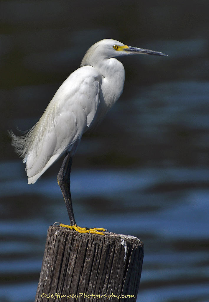DSC_5162.jpg