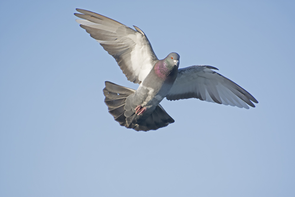 DSC_5163.jpg