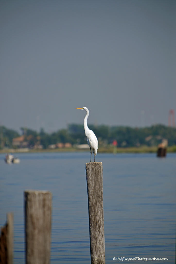 DSC_5165.jpg