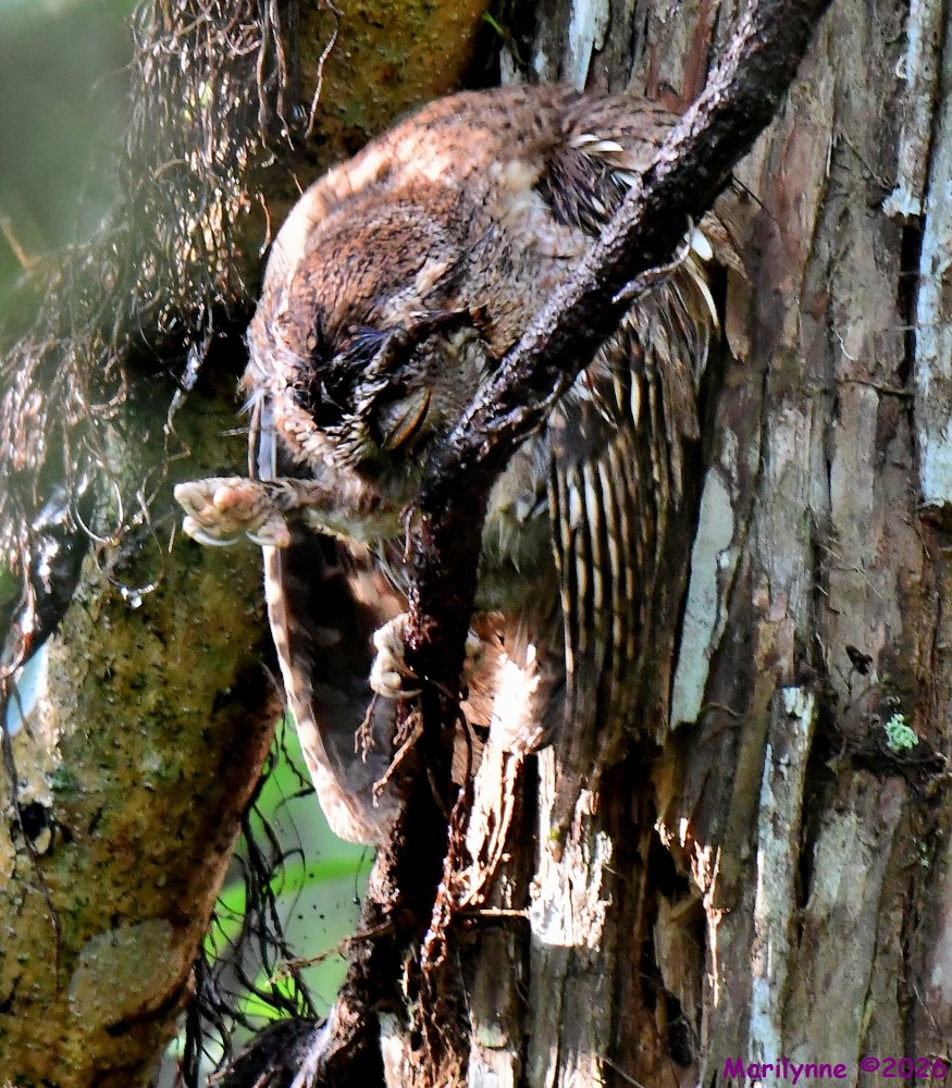 DSC_5172_001.JPG