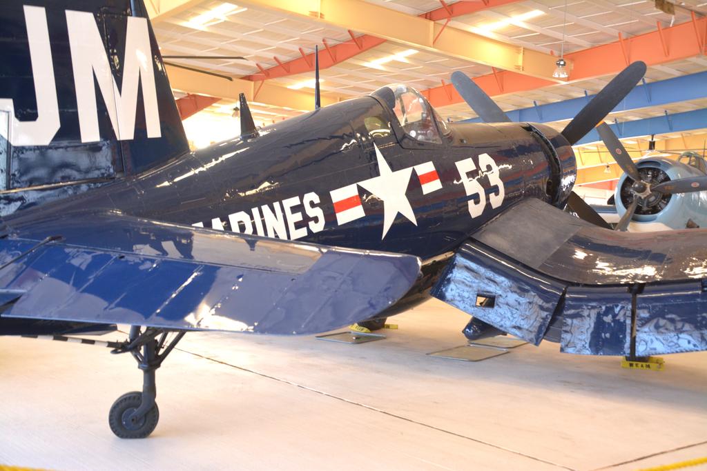 DSC_5174.jpg