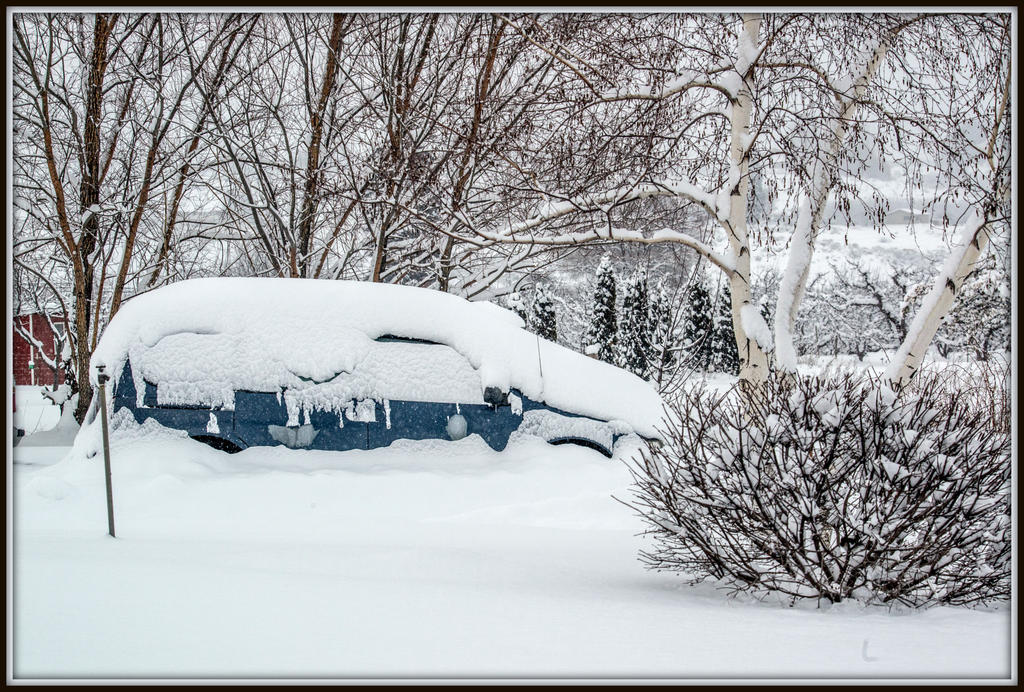 DSC_5174.jpg
