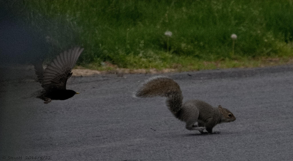 DSC_5176.jpg