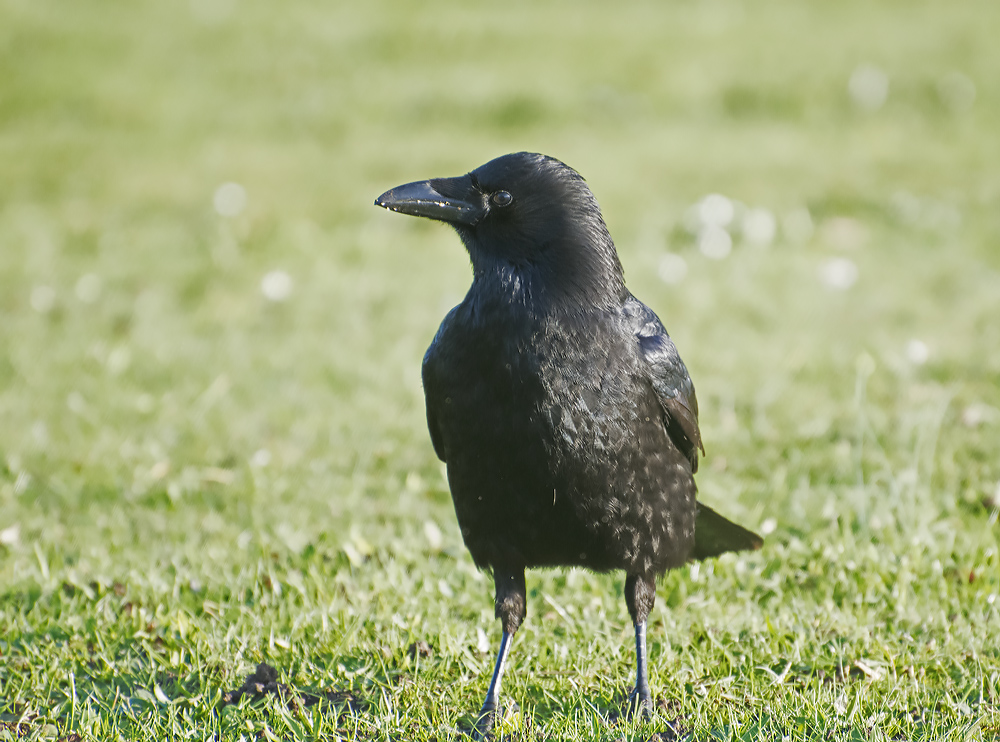 DSC_5177.jpg