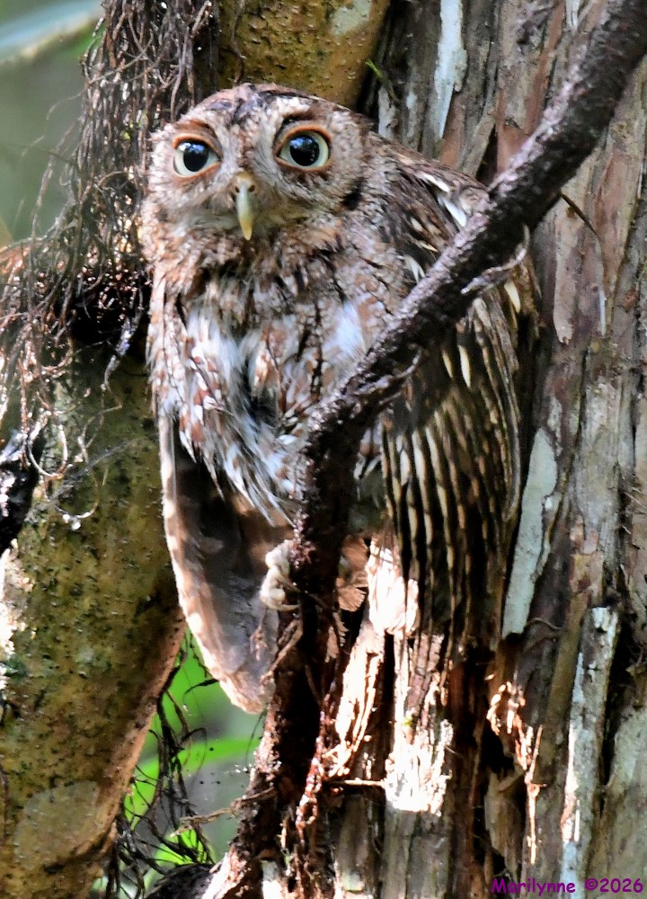 DSC_5177_001.JPG