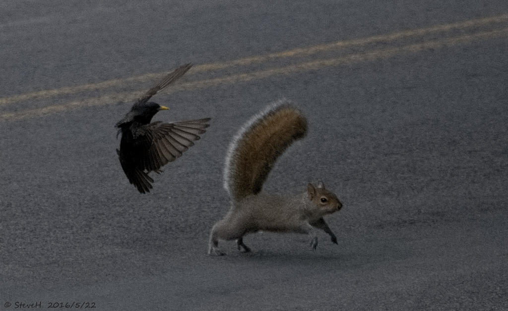 DSC_5178.jpg