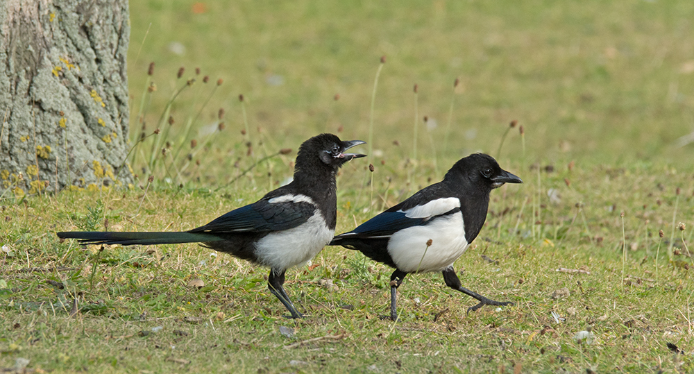 DSC_5178.jpg