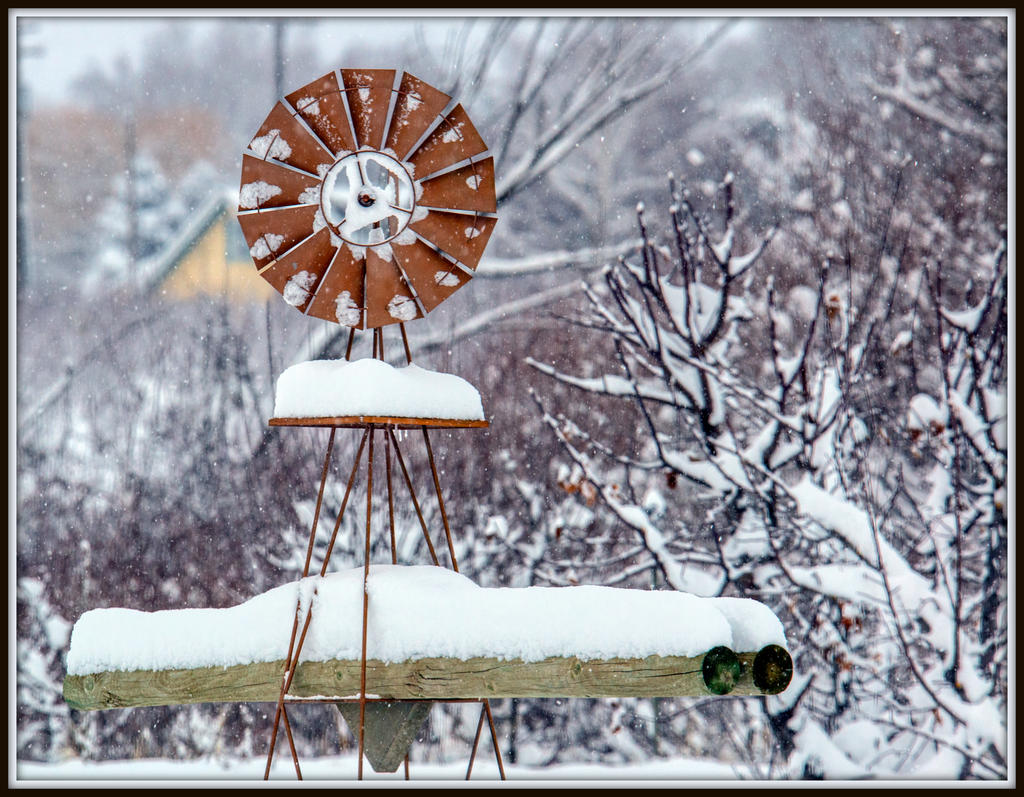 DSC_5179.jpg