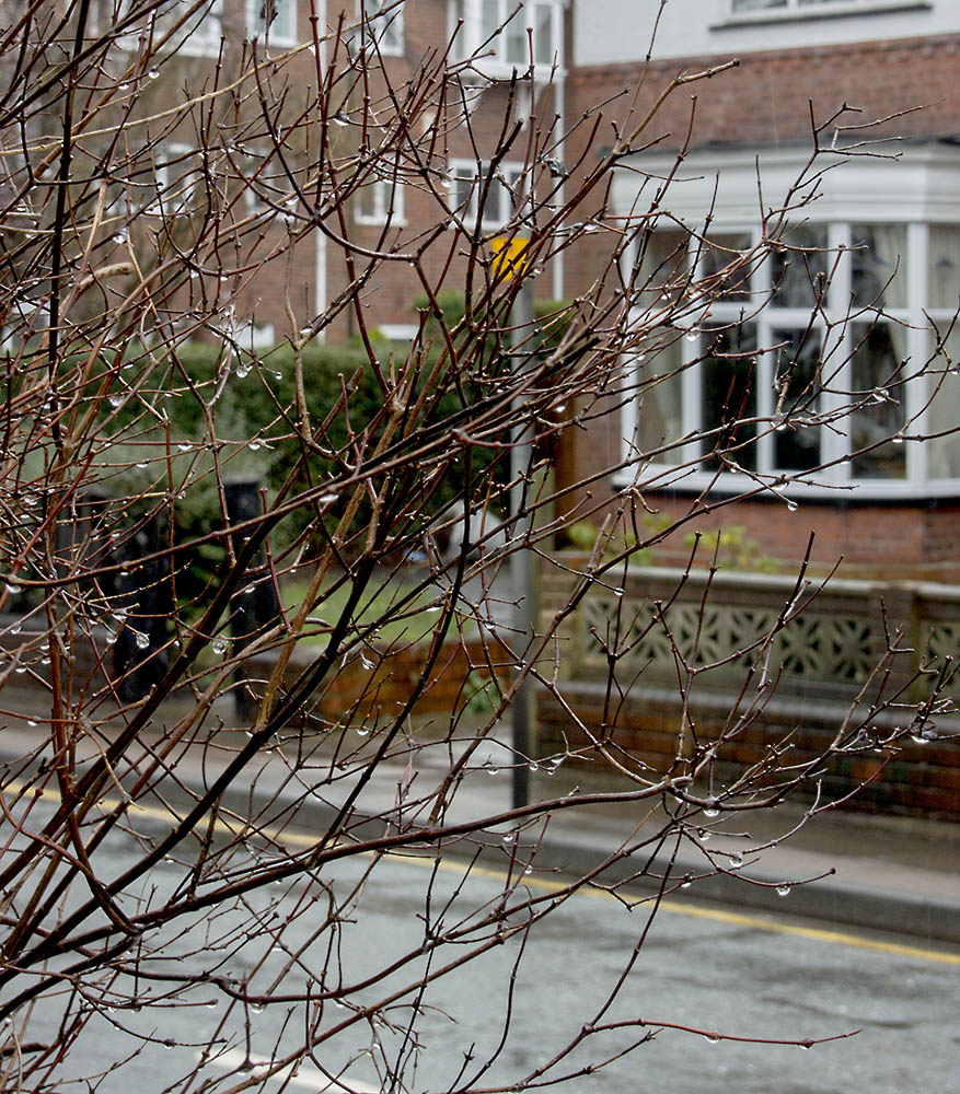 DSC_5181.jpg
