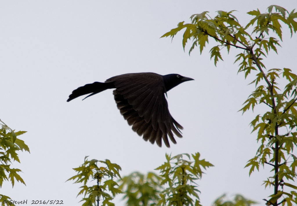 DSC_5181.jpg