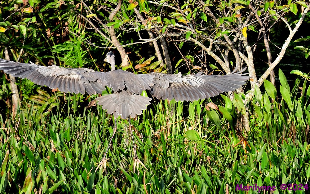 DSC_5182_001.JPG