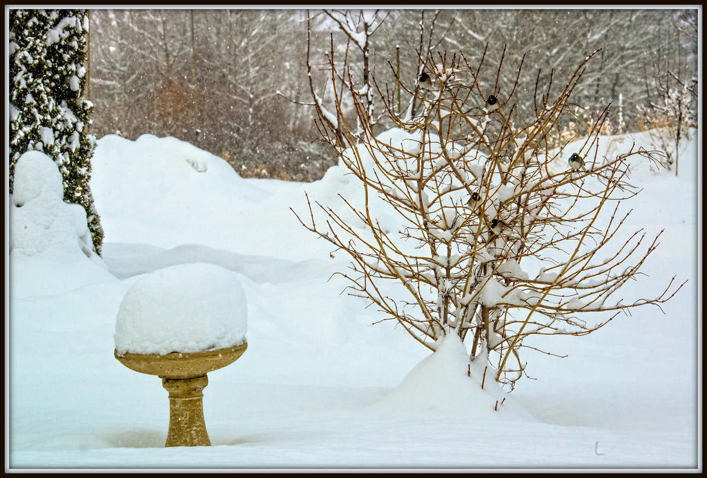 DSC_5185-Edit.jpg