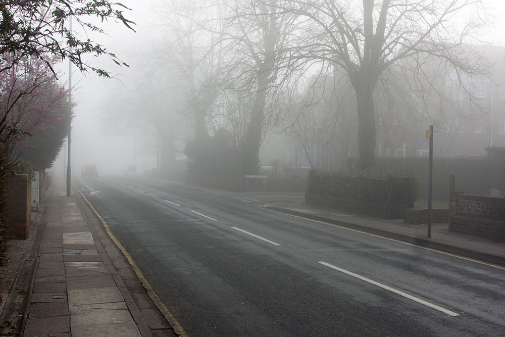 DSC_5187.jpg