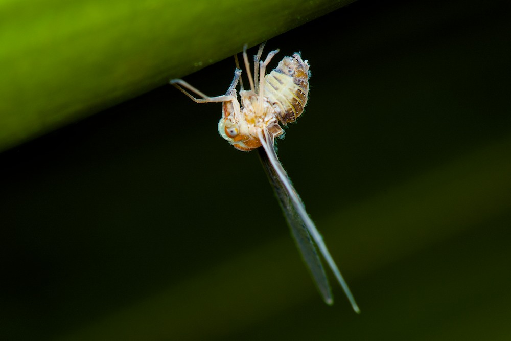 DSC_5188.jpg