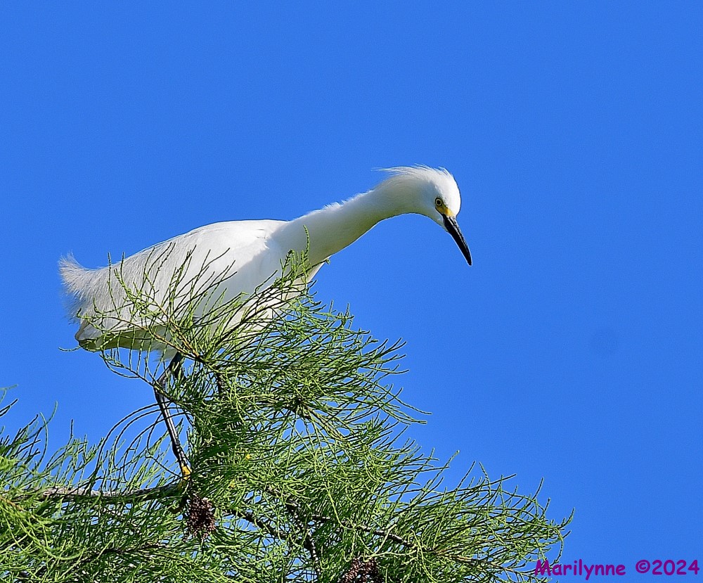 DSC_5190_001.JPG