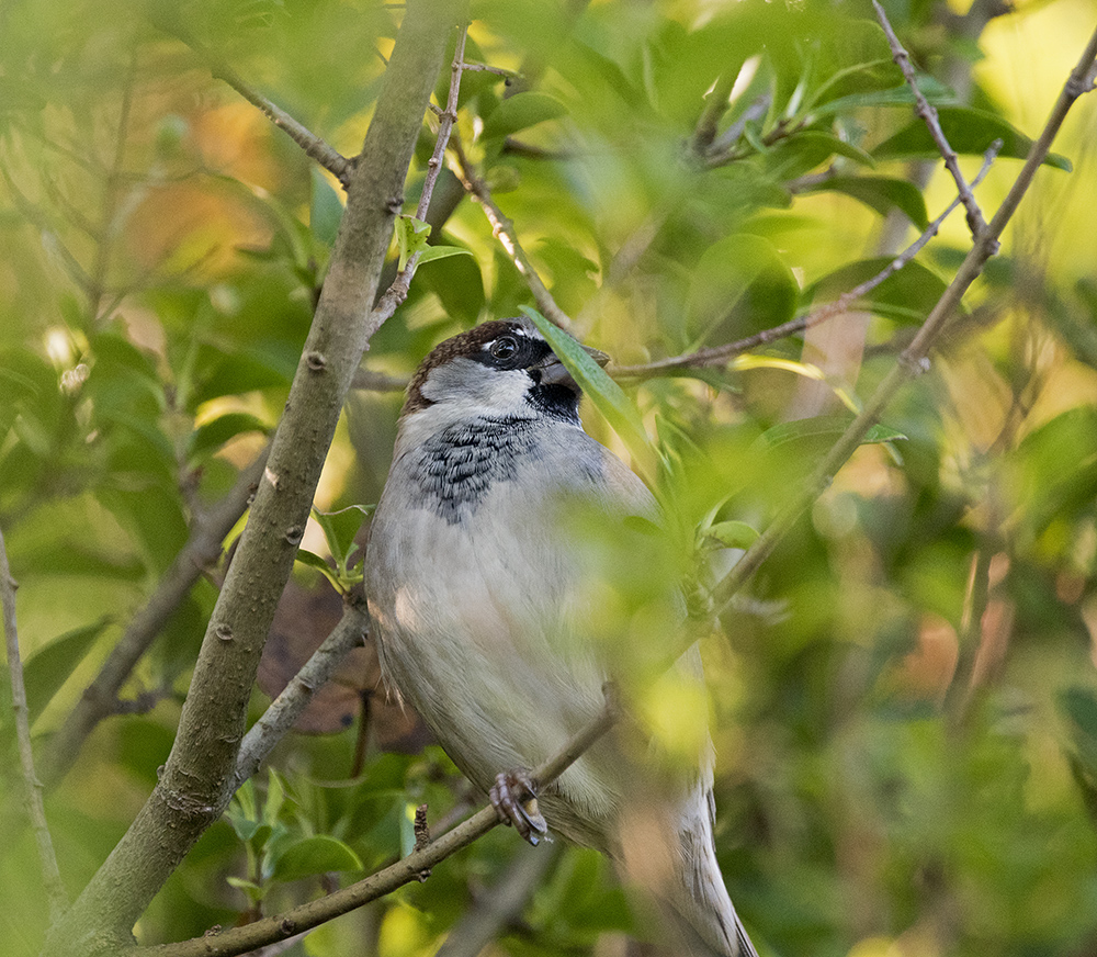 DSC_5191.jpg